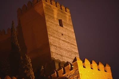 Top 5 Especialistas en software empresarial en Almería