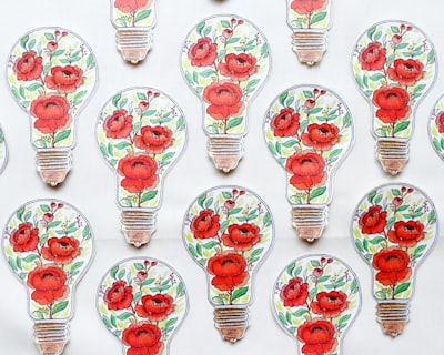 La programación personalizada impulsa la innovación en industrias sostenibles