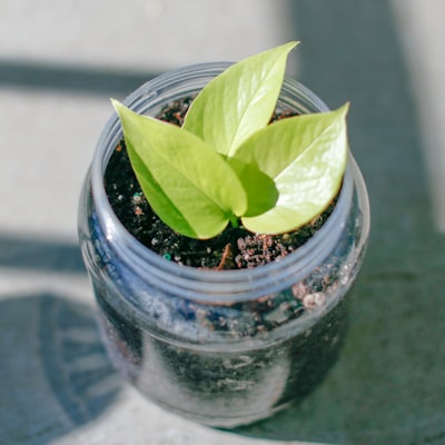 Expertos en automatización de la nutrición de leads en Sevilla