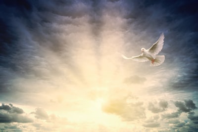 75 Mensajes Espirituales para un Gran Día