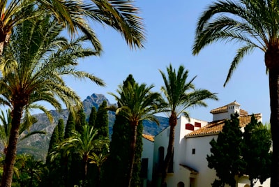 Las 3 mejores empresas en Marbella para software web personalizado