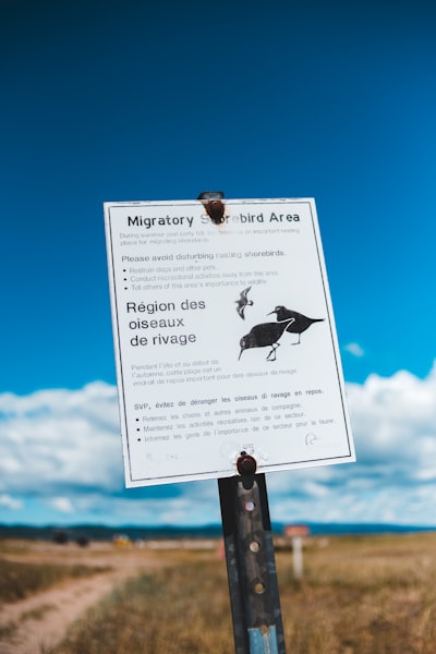Beneficios de migrar de una solución heredada a una solución personalizada.