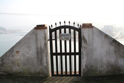 A door slamming shut on AI assistants: Rust's failed attempt.