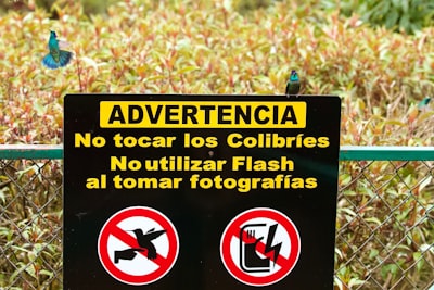 Un token por fotograma: reconsiderando el ancho de banda visual en modelos del mundo VLA