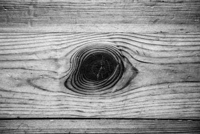 El nuevo ojo de la IA en el movimiento oculto