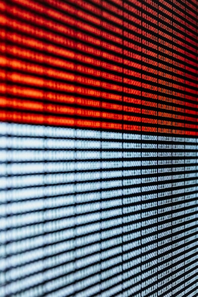 Riesgos de privacidad y compensaciones en datos financieros sintéticos.