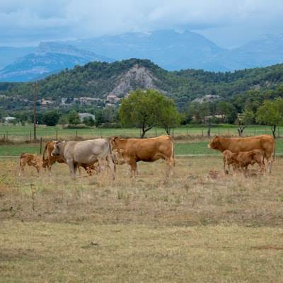 Aplicaciones en Huesca