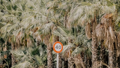 Top 100 empresas de presentador virtual de IA en Elche.