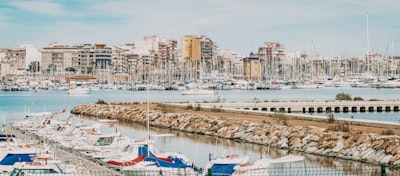 Mejores empresas de bots de Instagram en Torrevieja