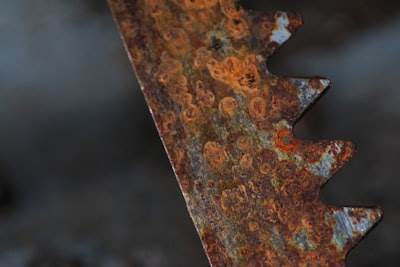 Cómo Rust revoluciona la IA
