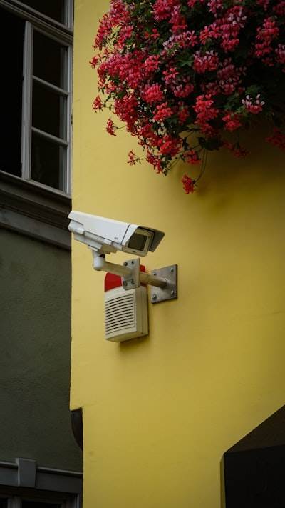 Privacidad en Subdominios: Focus en cinco aspectos clave