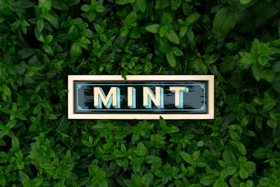 Ajuste del índice de búsqueda multivector en MINT