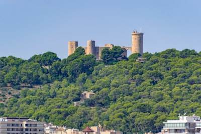 Los 3 principales expertos en inteligencia artificial en Castelldefels