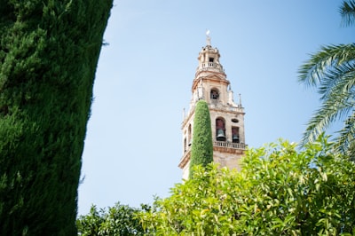 Automatización de la recopilación de datos para empresas en Córdoba