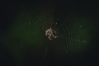Por qué crear un "Anti-Nodo" para la Dark Web