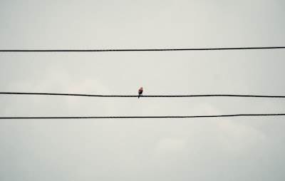 Por qué una Red Internet Descentralizada Puede Silenciar Nosotros