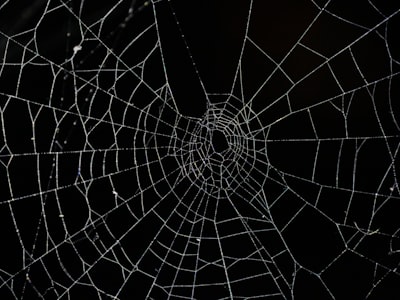 ¿Qué ocurre ante una falla del sistema en una app web personalizada?