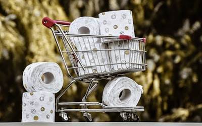 Comparación entre presupuesto del comercio electrónico y métodos de venta al por mayor tradicionales: ¿Cómo hacer un presupuesto para mi negocio?