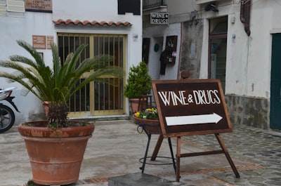 Mejores empresas de bots de WhatsApp en Vinaròs