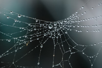 Top 10 Expertos en integración web de CRM y AI en Murcia