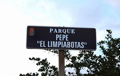 Profesional de IA frente a servicios humanos en Las Palmas
