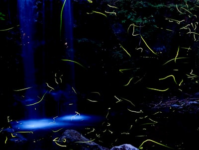 Firefly renace como serie animada