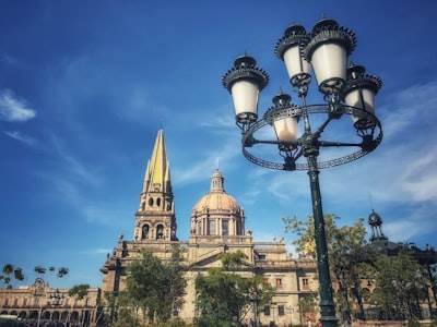 Top 20 Especialistas en bots de Instagram en Guadalajara