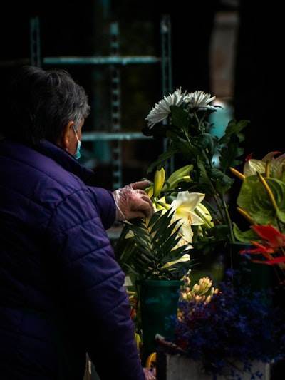 Investigación requerida sobre la respuesta gubernamental a los sitios web sobre suicidio