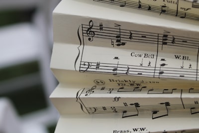 Cómo construir una colección de música verdaderamente tuya