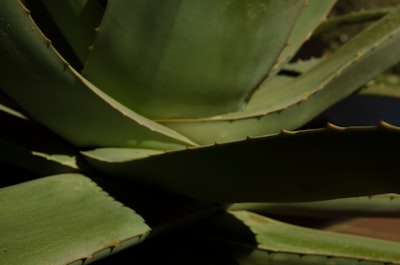 Los mejores servicios de producción de video en IA en Granada