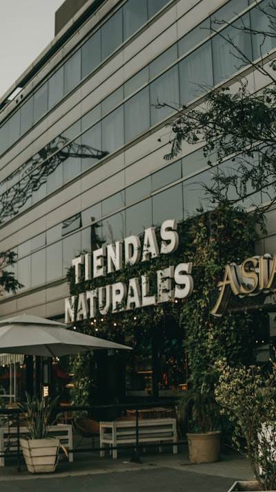 Encuentra Servicios de IA en Mérida