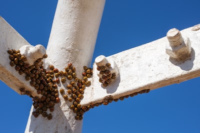 Integración de API en sistemas antiguos en Las Palmas
