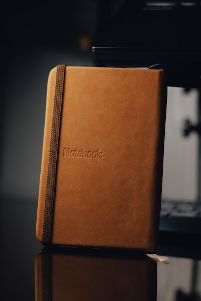 Open Notebook: ¿Una verdadera alternativa de cuaderno privado de código abierto LM?