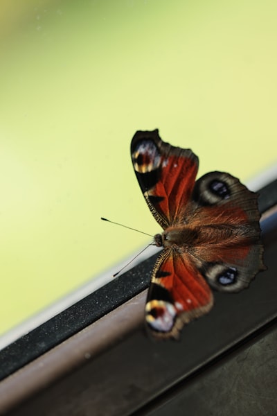 5 mitos sobre la transformación digital