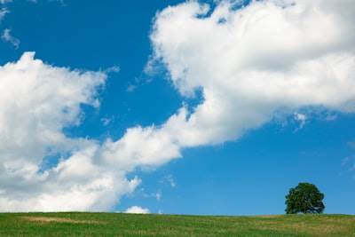 Cómo la nube impulsa la sostenibilidad empresarial