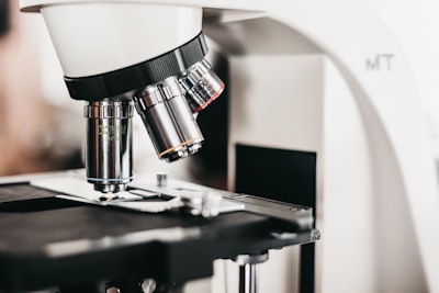 Comparativa de eficiencia y robustez en diagnóstico de malaria