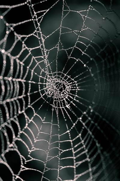 Una guía completa de Agentic Web