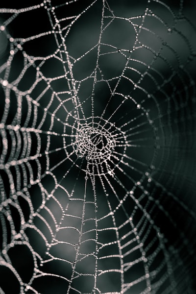 Medidas para la confiabilidad de aplicaciones web con API.