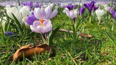 Registros de auditoría en Spring Boot: Captura de acciones API sin repetir código