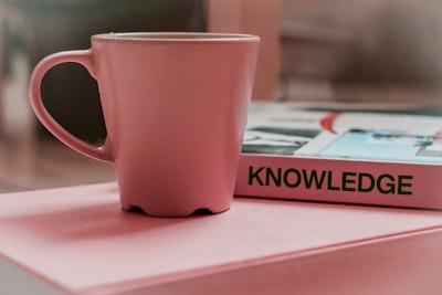 Expertos en automatización de base de conocimientos en Palma