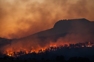 Predicción de incendios forestales con autómatas celulares neuronales