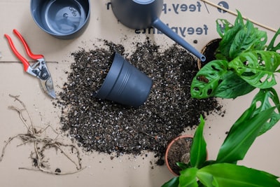 Automatizar el cultivo de leads.