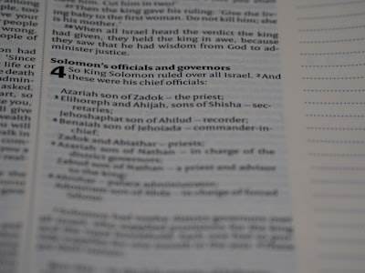 Guía paso a paso sobre el Gobierno de Franquicia