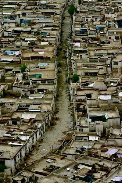 Cost of Artificial Intelligence: Human Displacement and Environmental Destruction