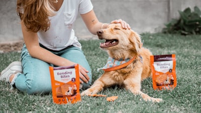 Drizzle on top: Comida premium para perros para el 1%