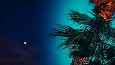 Top 10 Especialistas en servicios de n8n en Marbella