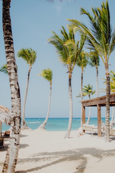 Intranet con vacaciones: clave para la sostenibilidad empresarial