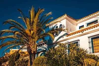 Top 5 Expertos en n8n en Marbella