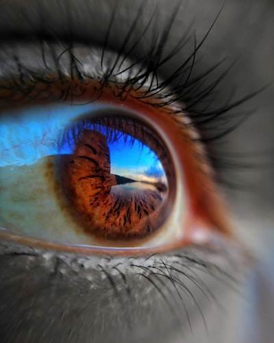AI Vision Models: The Eyes of AI Understanding the World