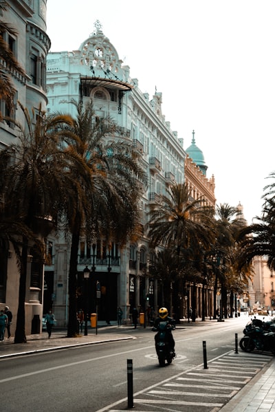 Especialistas en software a medida para flotas en Valencia